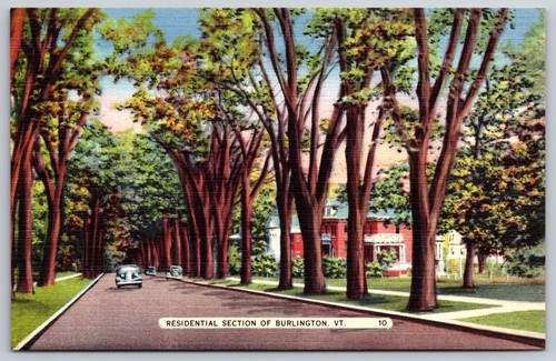 Burlington vermont shady - burlington,