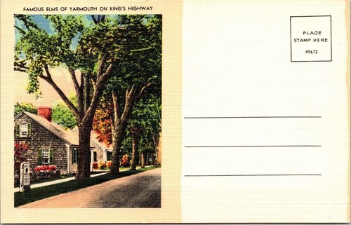 Yarmouth elm trees kings - yarmouth,